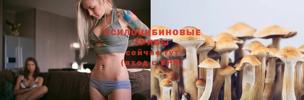 мет Белокуриха