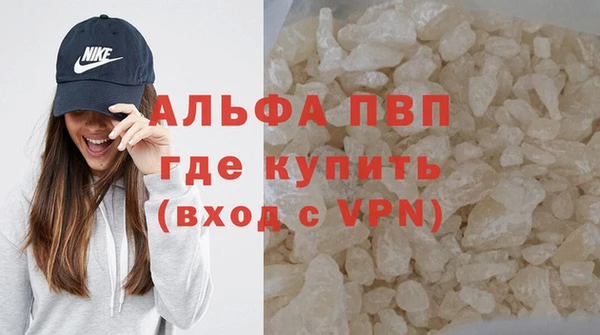 сатива Белоозёрский
